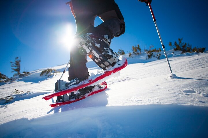 Winter Hiking Set for Snowshoes and Trek Poles - Photo 1 of 7